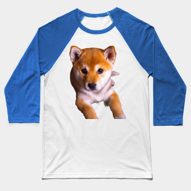 Shiba Inu Love: A Forever Thing Baseball T-Shirt by ProTee's